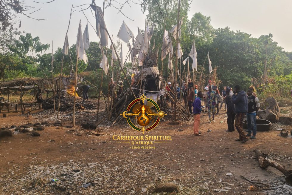 Réussite Professionnelle - DANCOLI