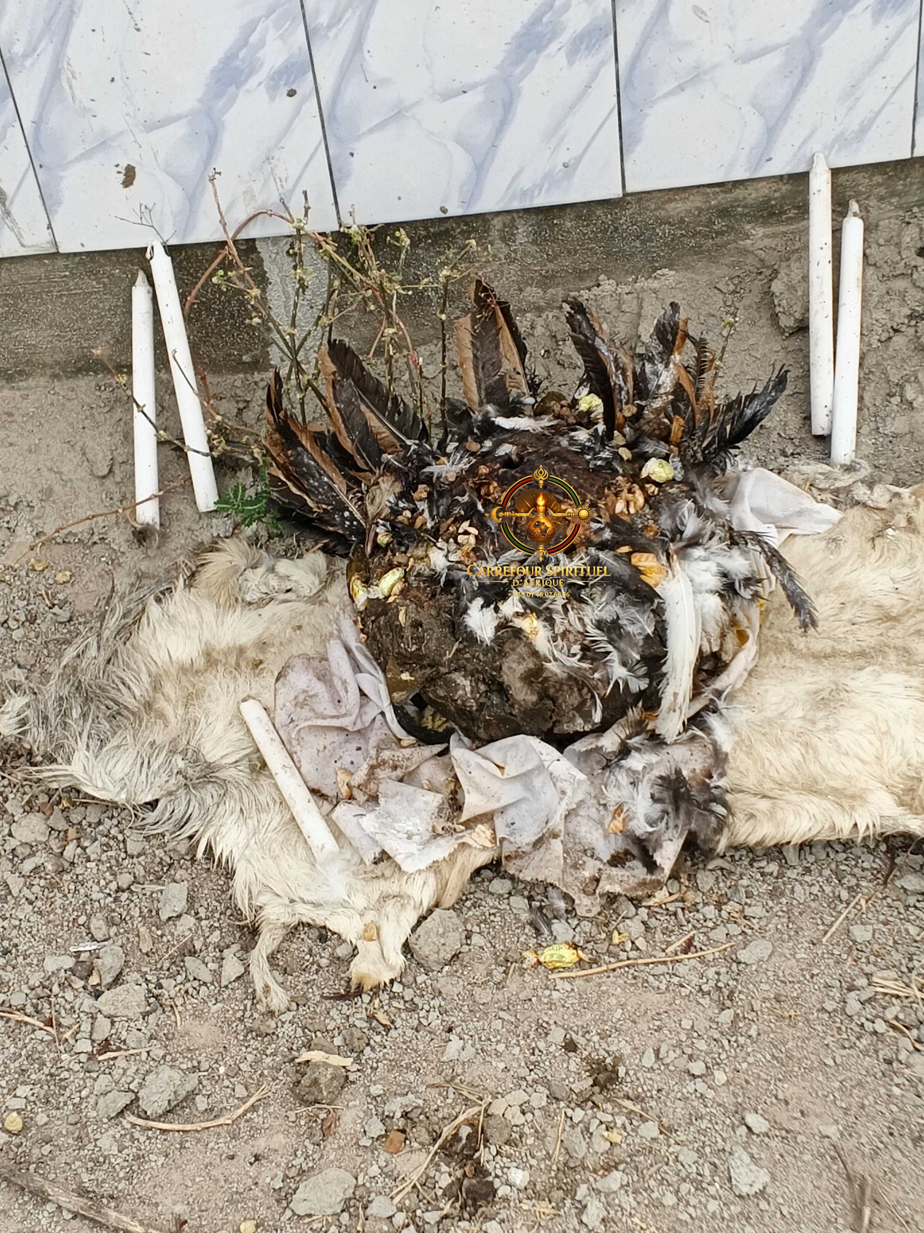 Retour d'affection — Temple TSKV K-Hammourabi